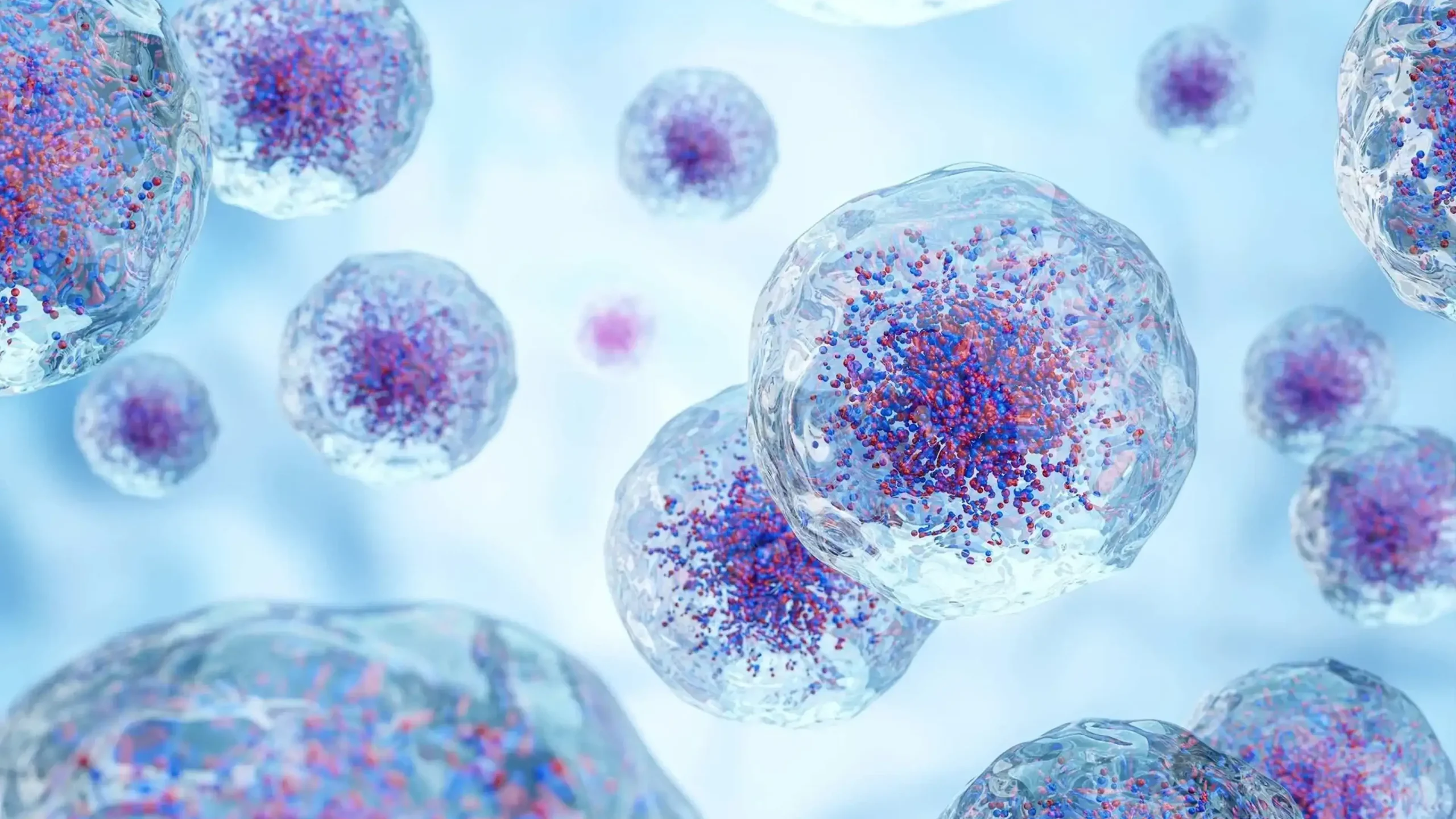 News & publications - page cover - Novalgen